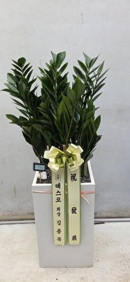 업로드 이미지
