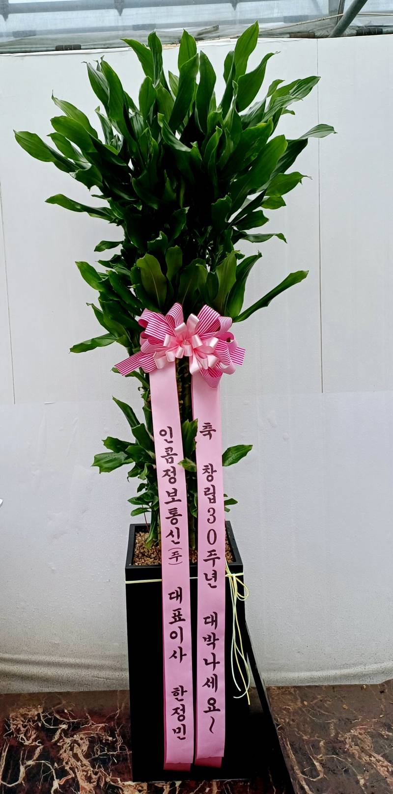 업로드 이미지