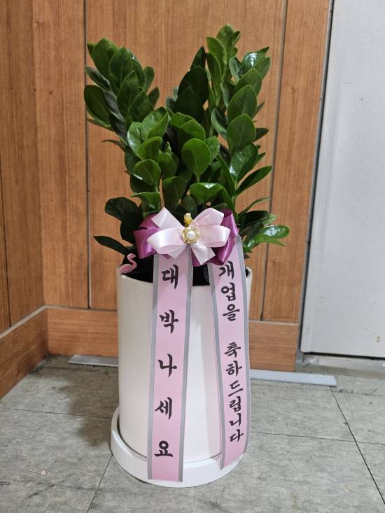 업로드 이미지