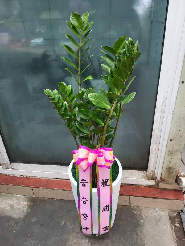 업로드 이미지