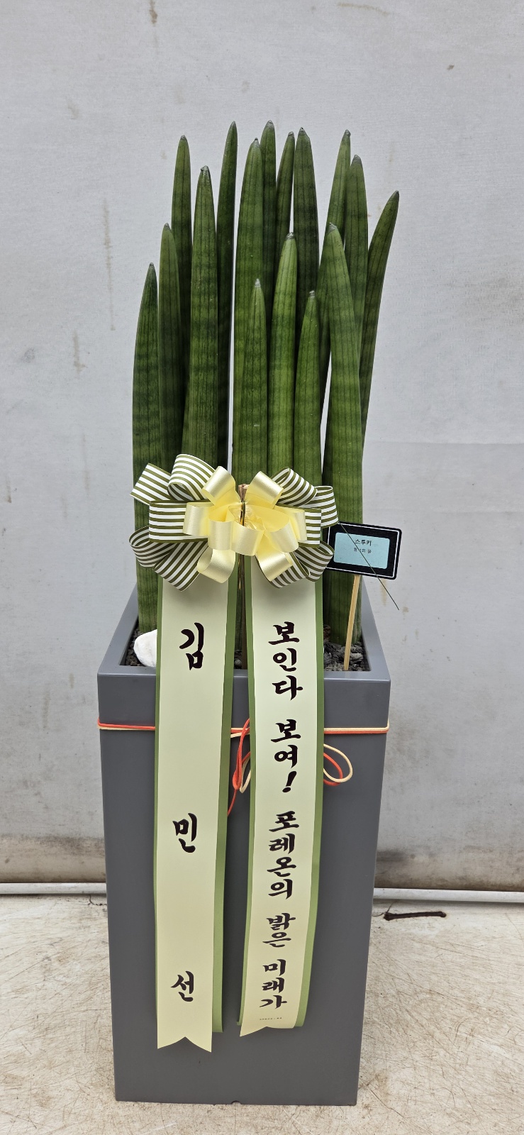 업로드 이미지