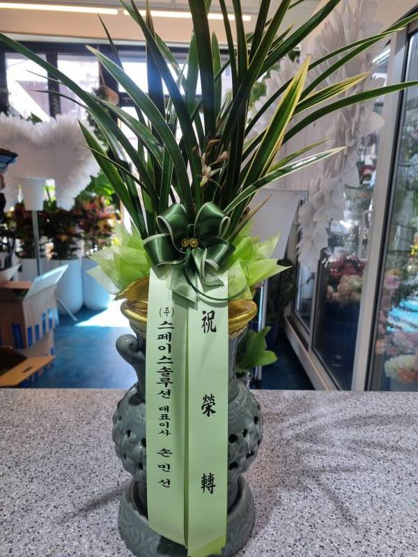 업로드 이미지