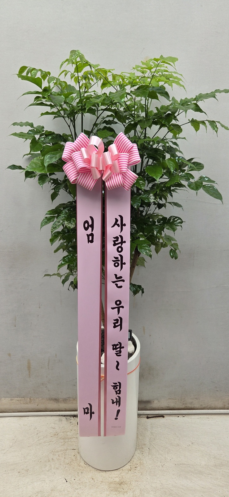 업로드 이미지