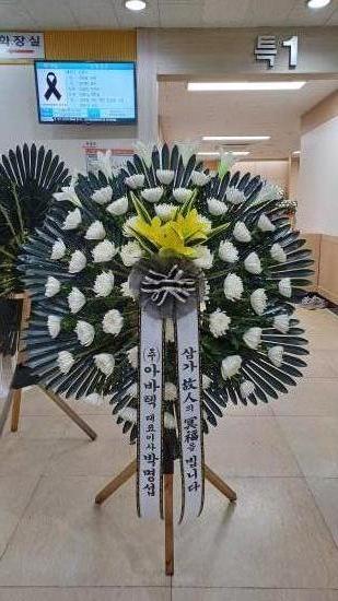 업로드 이미지
