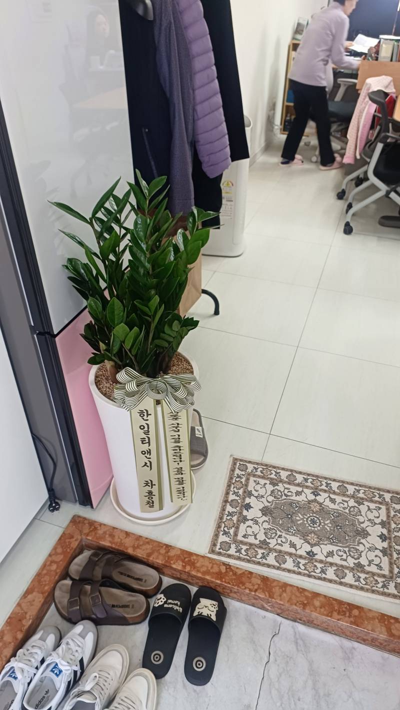 업로드 이미지