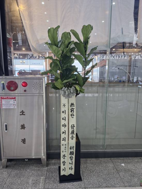 업로드 이미지