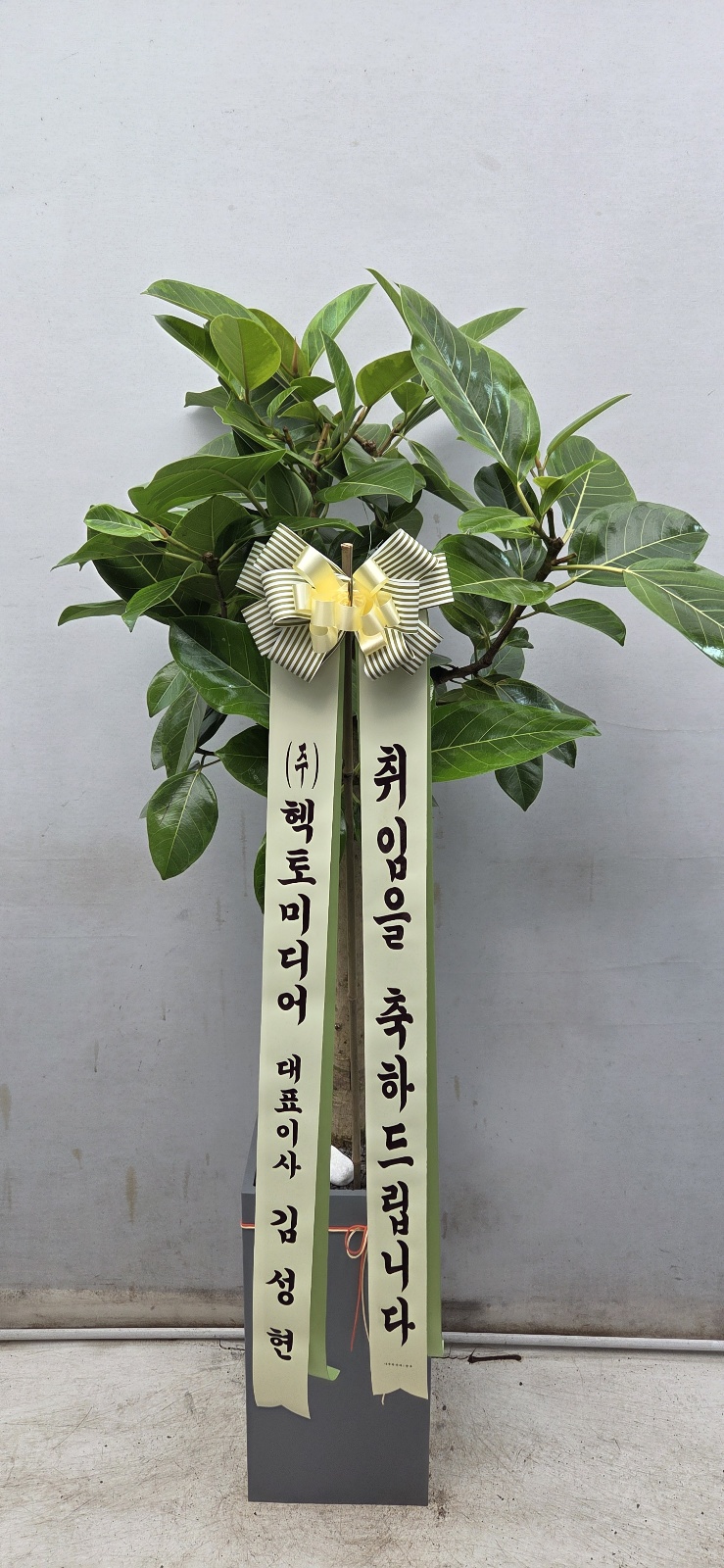 업로드 이미지