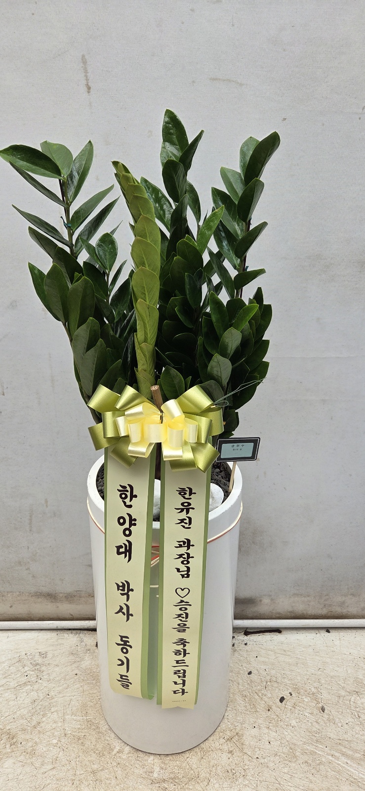 업로드 이미지