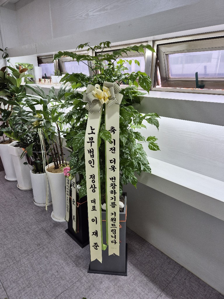 업로드 이미지