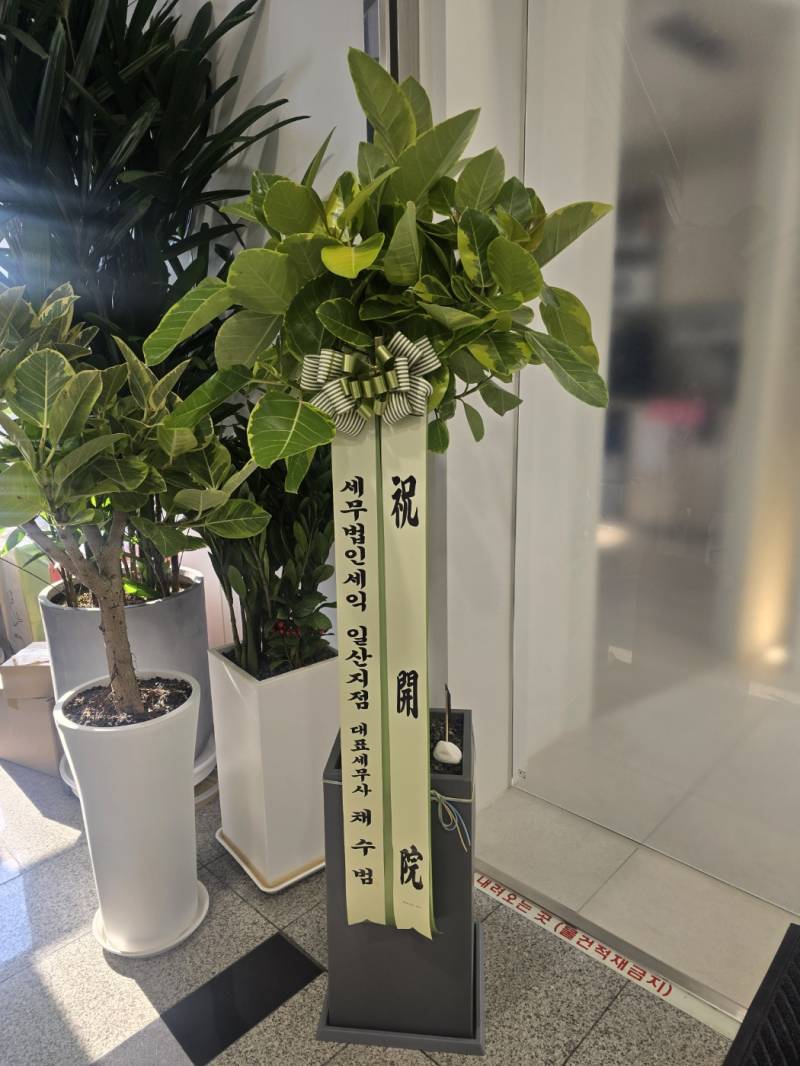 업로드 이미지