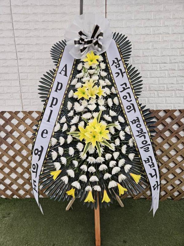 업로드 이미지