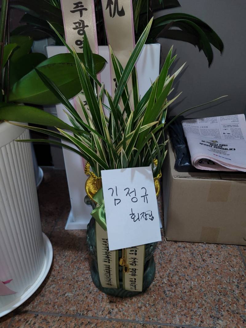 업로드 이미지