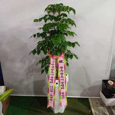 배송사진