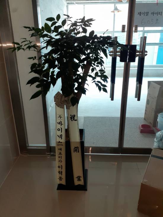 업로드 이미지