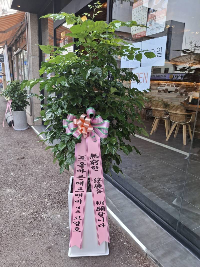 업로드 이미지