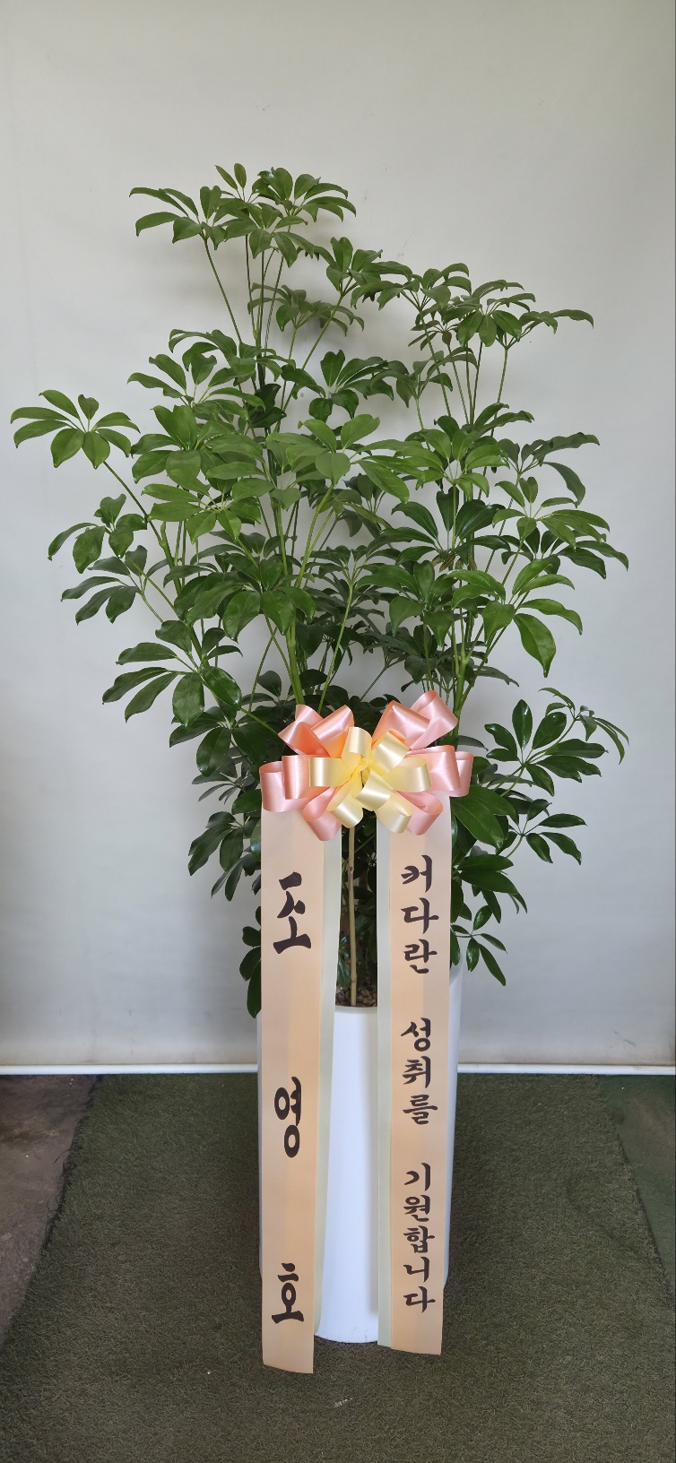 업로드 이미지
