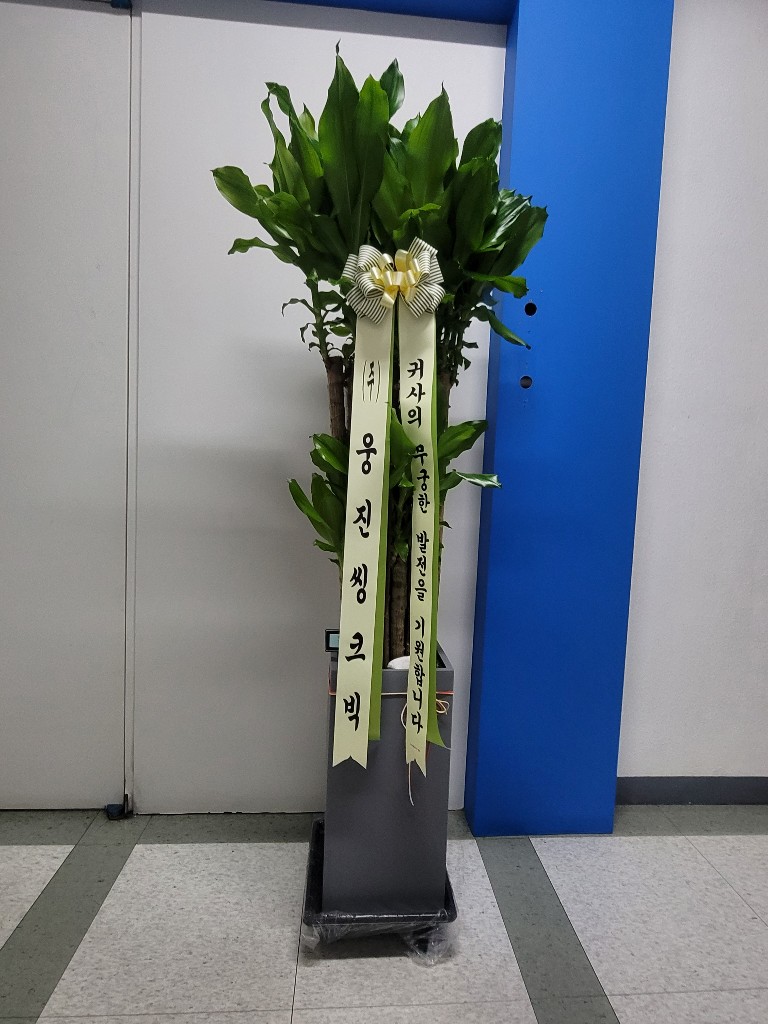 업로드 이미지