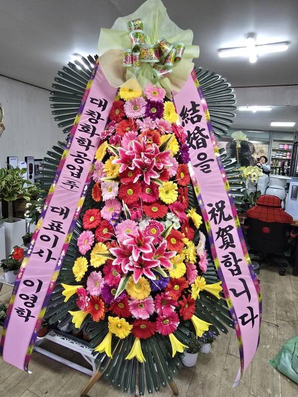 업로드 이미지