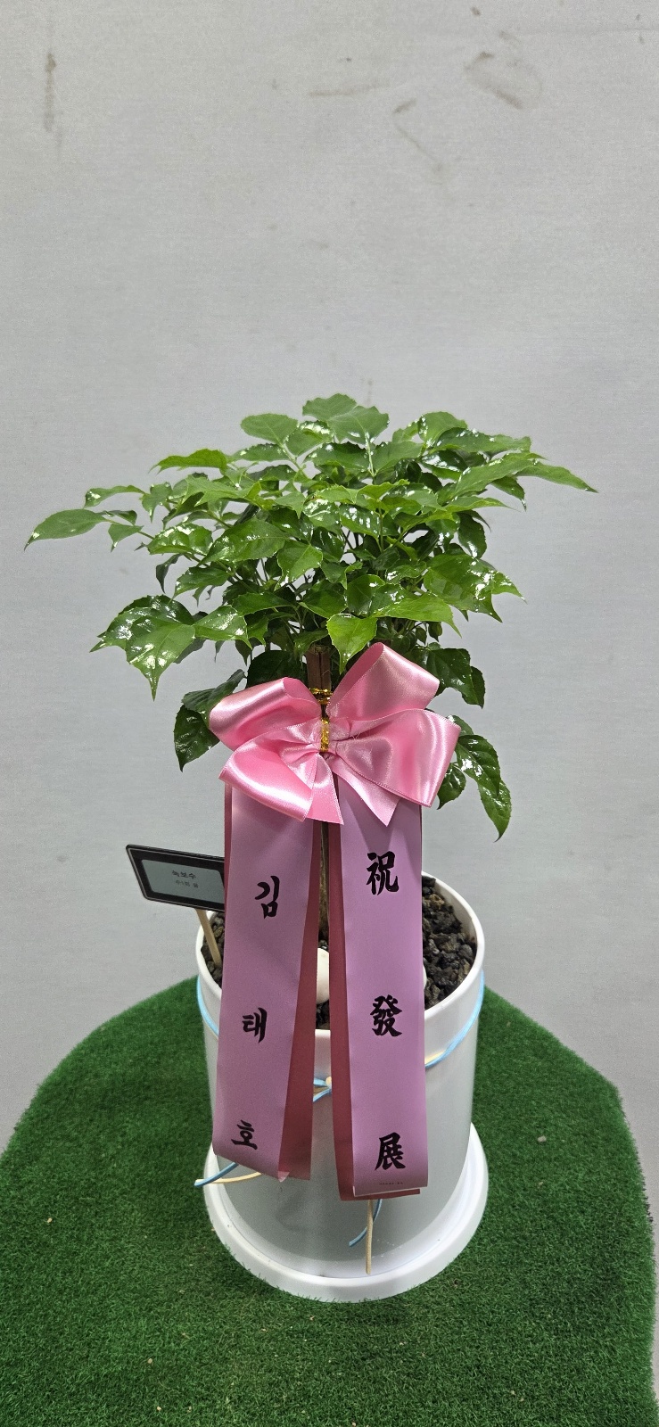 업로드 이미지