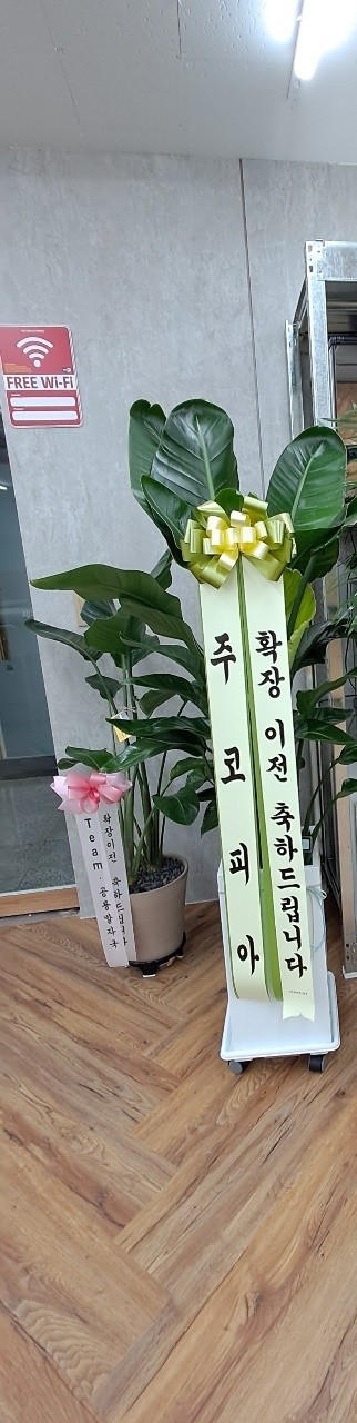 업로드 이미지