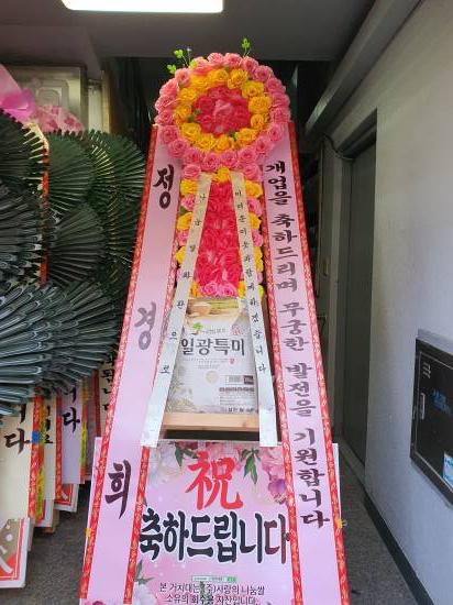 업로드 이미지