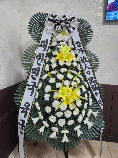 업로드 이미지