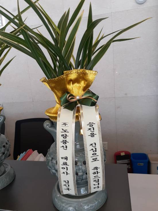 업로드 이미지