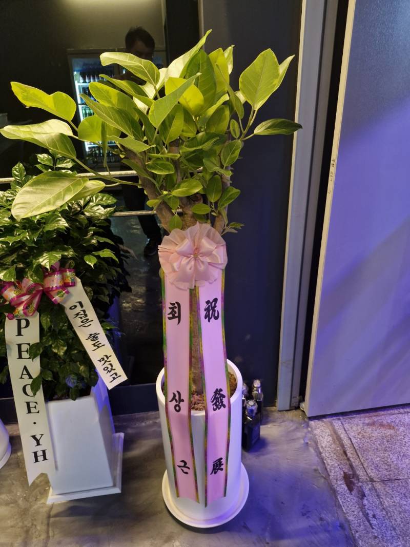 업로드 이미지