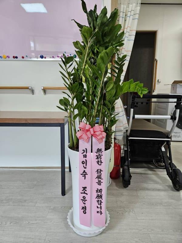 업로드 이미지
