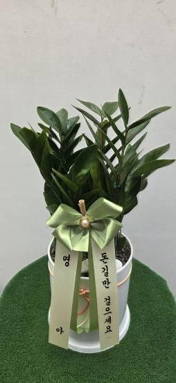 업로드 이미지