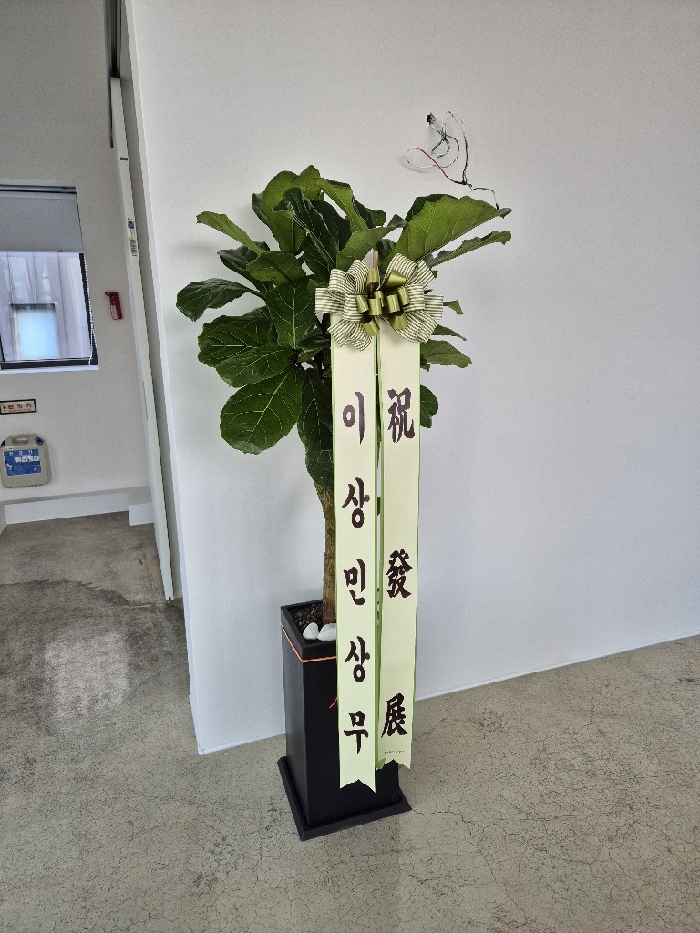 업로드 이미지