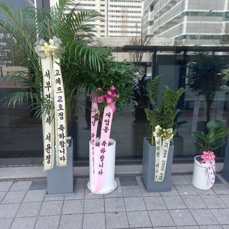 업로드 이미지