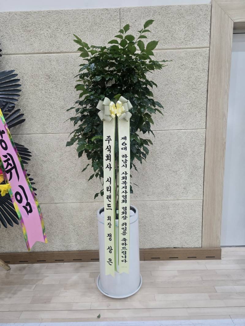 업로드 이미지