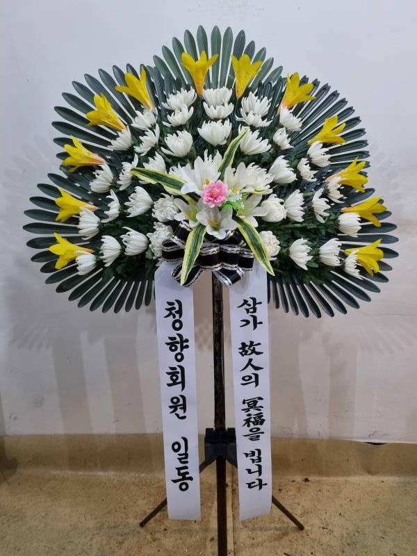 업로드 이미지