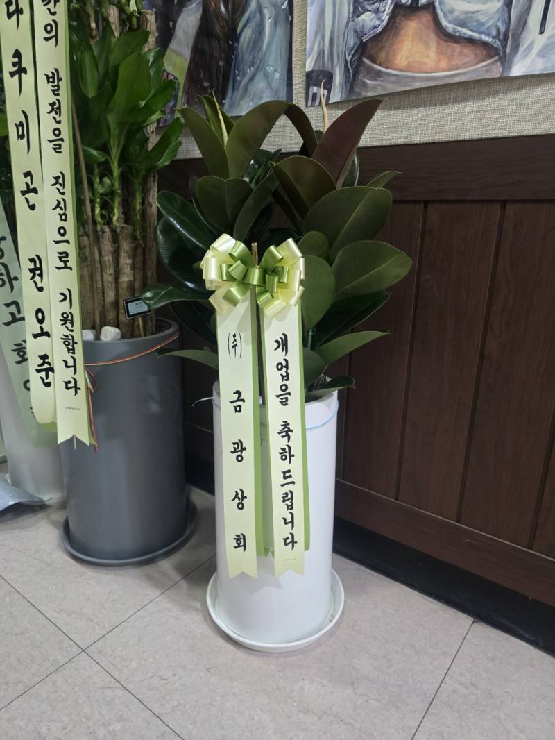 업로드 이미지