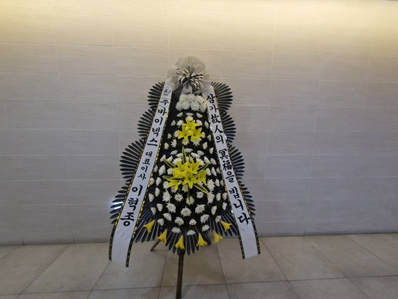 업로드 이미지