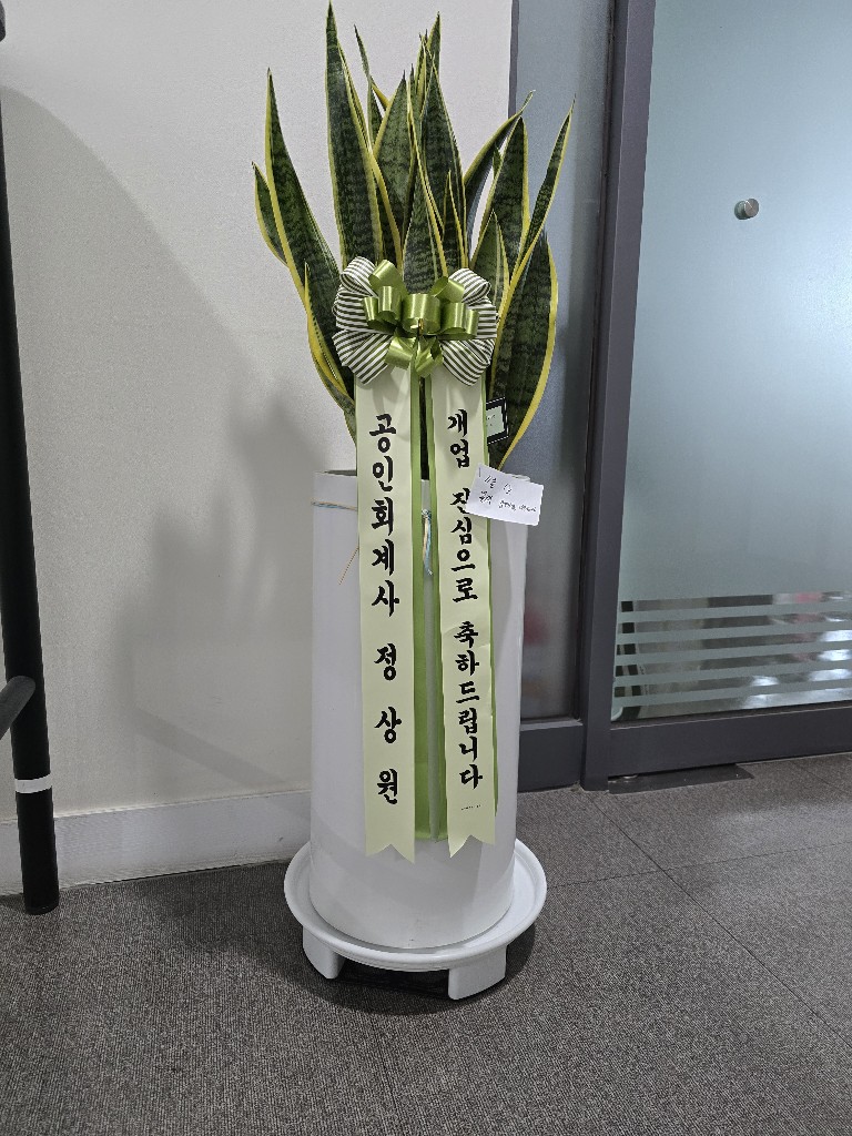 업로드 이미지