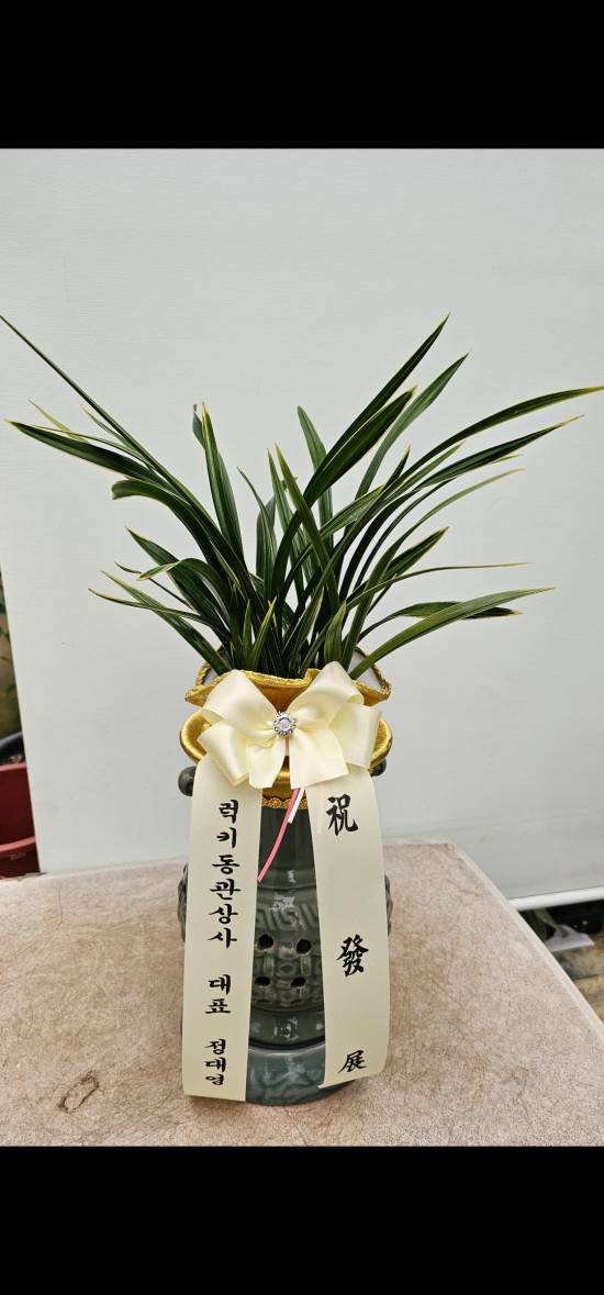 업로드 이미지