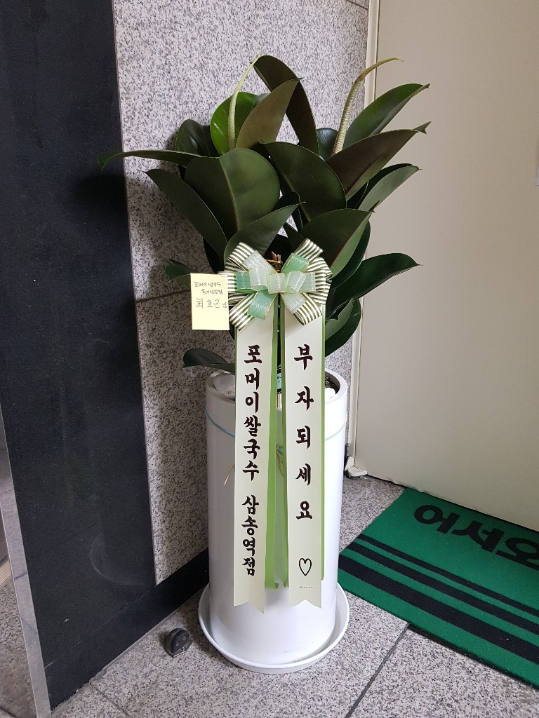 업로드 이미지