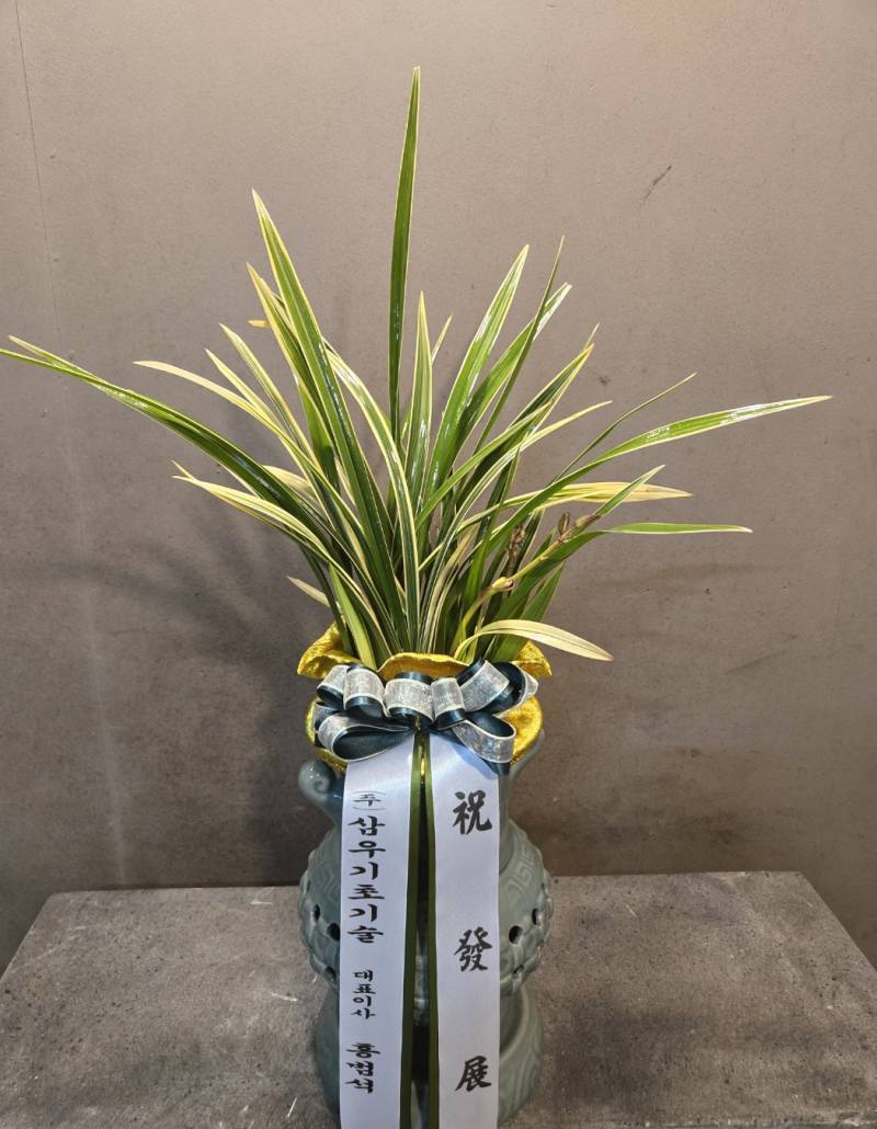 업로드 이미지