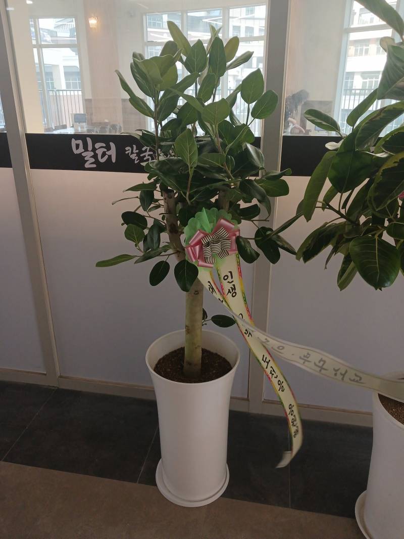 업로드 이미지