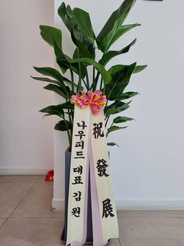 업로드 이미지