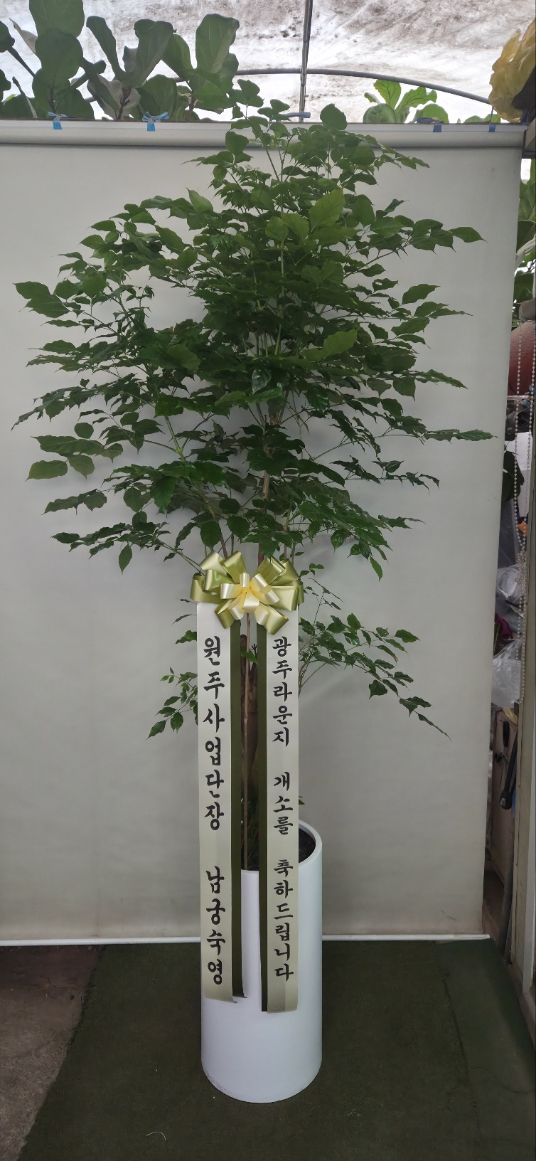 업로드 이미지