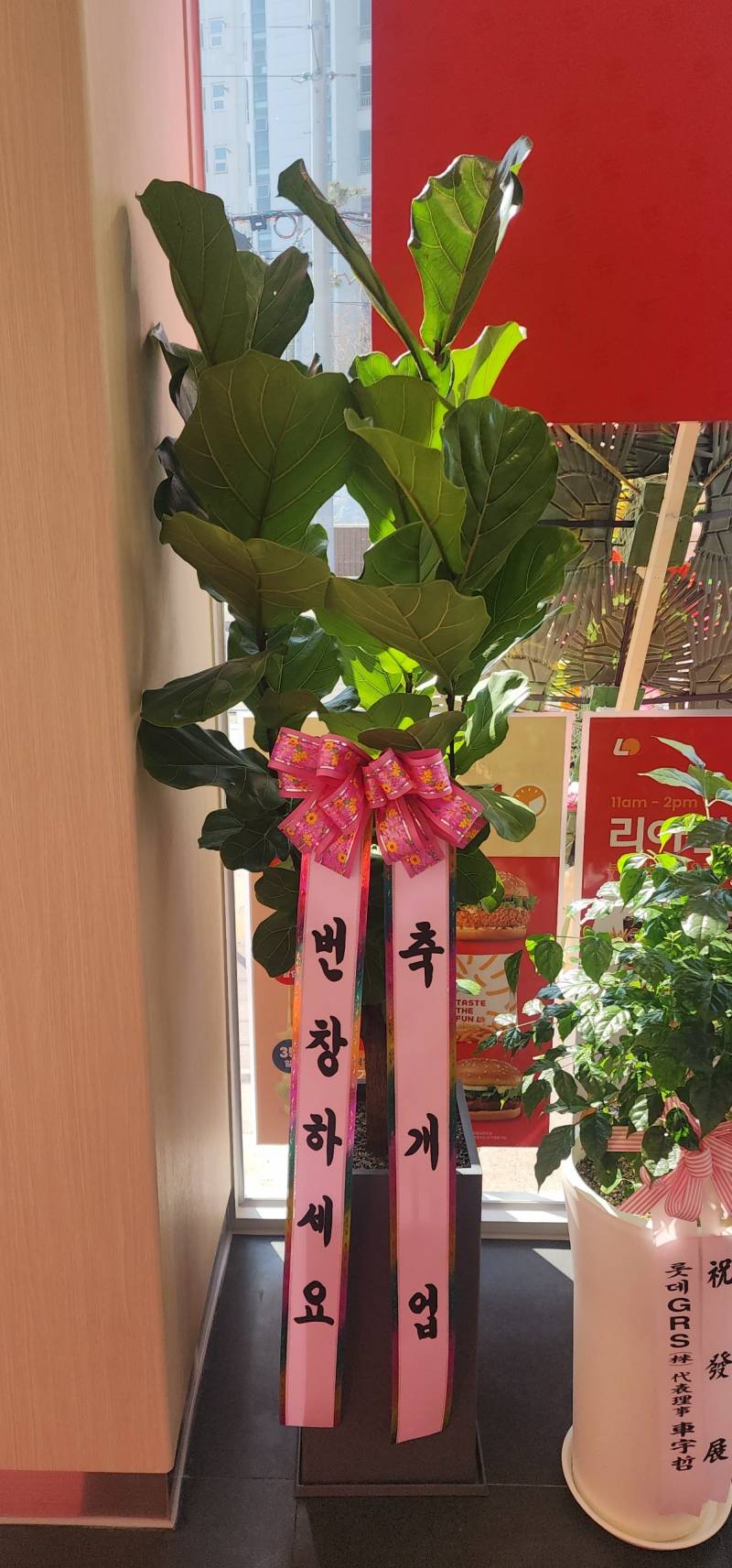 업로드 이미지