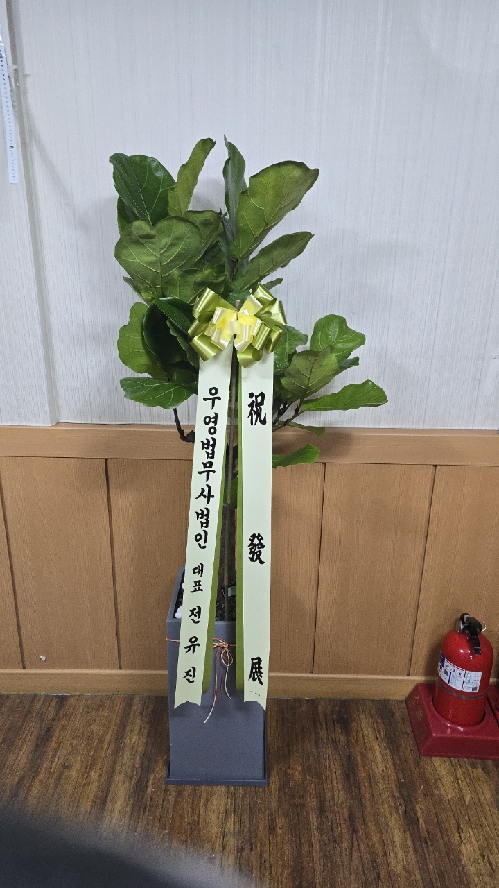 업로드 이미지