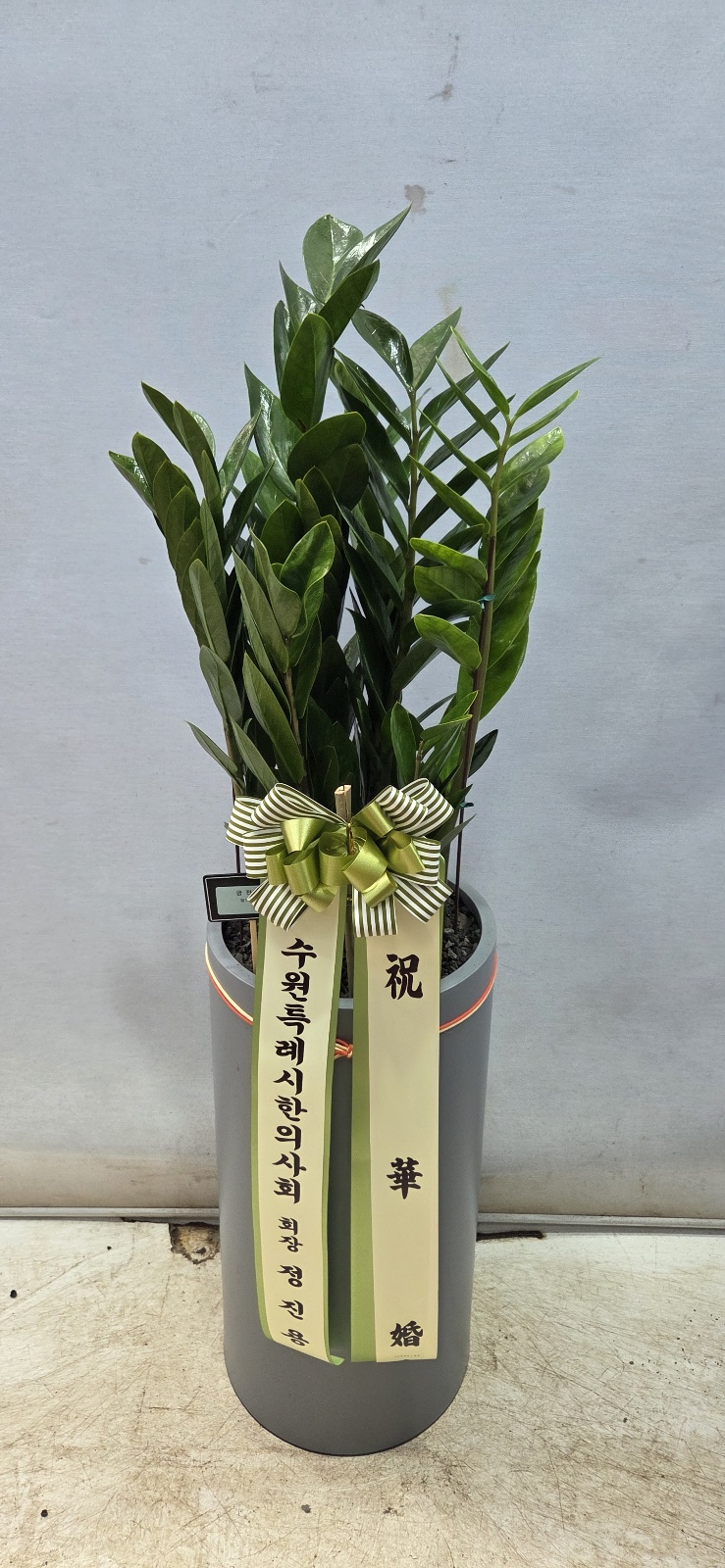 업로드 이미지