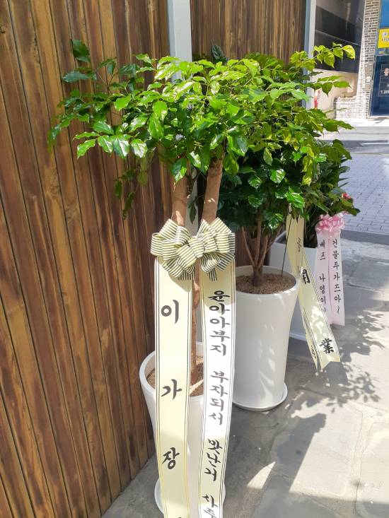 업로드 이미지