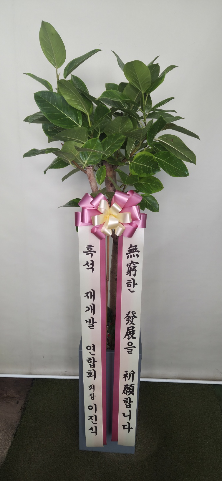 업로드 이미지