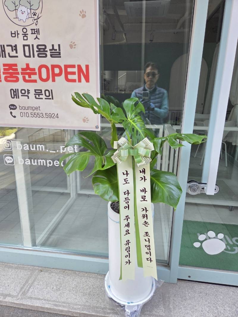 업로드 이미지