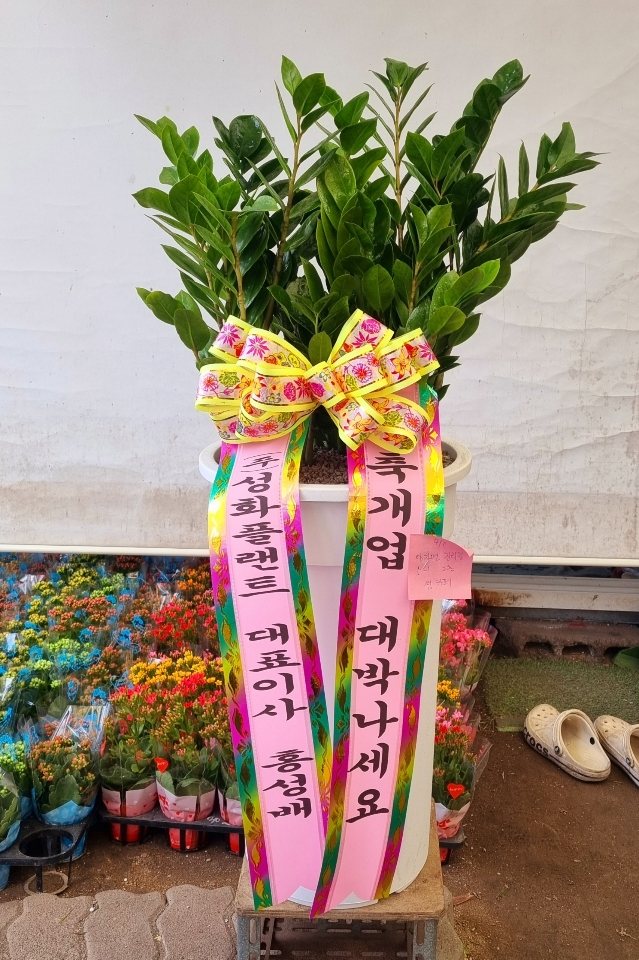 업로드 이미지